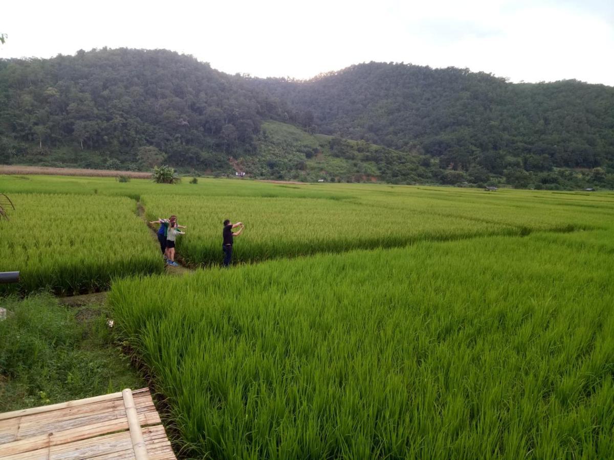 Samoeng Fishing Park Home Stay Екстериор снимка